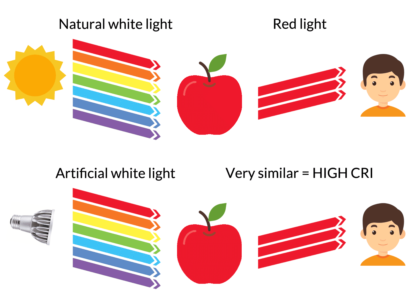 is CRI? The ultimate guide to the Color Rendering Index | Waveform Lighting